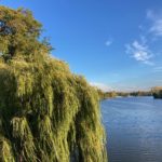 Zwischen Abschiedsschmerz und Zuversicht – Gefühle zum Umzug aus der schönsten Stadt der Welt